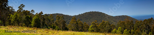Panoramic view of forests in rural Victoria Australia