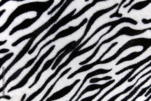 Glamorous zebra skin print