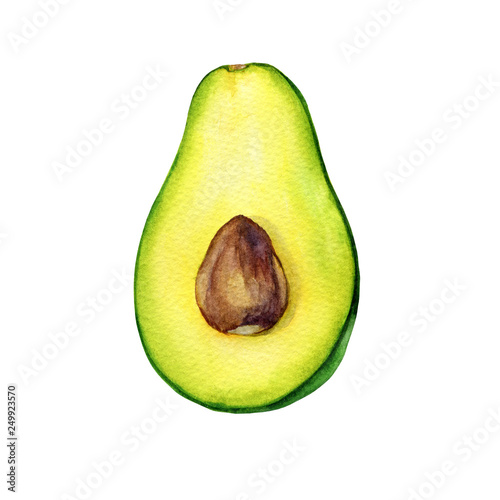 Half of avocado fruit with seed (also called an avocado pear,  butter fruit or alligator pear). Hand drawn botanical watercolor painting illustration isolated on white background.