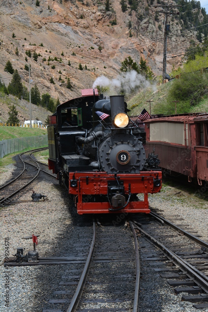 Fototapeta premium Pociąg Georgetown
