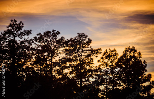 Florida sunset