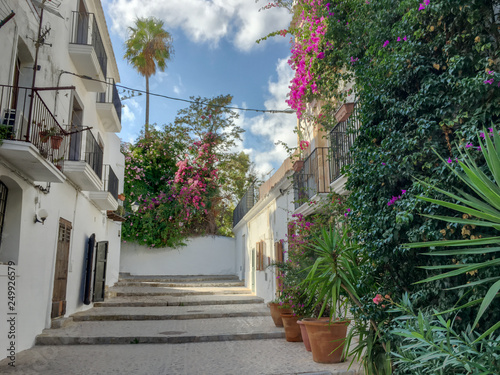 Fototapeta Naklejka Na Ścianę i Meble -  Alley in the old town of Ibiza
