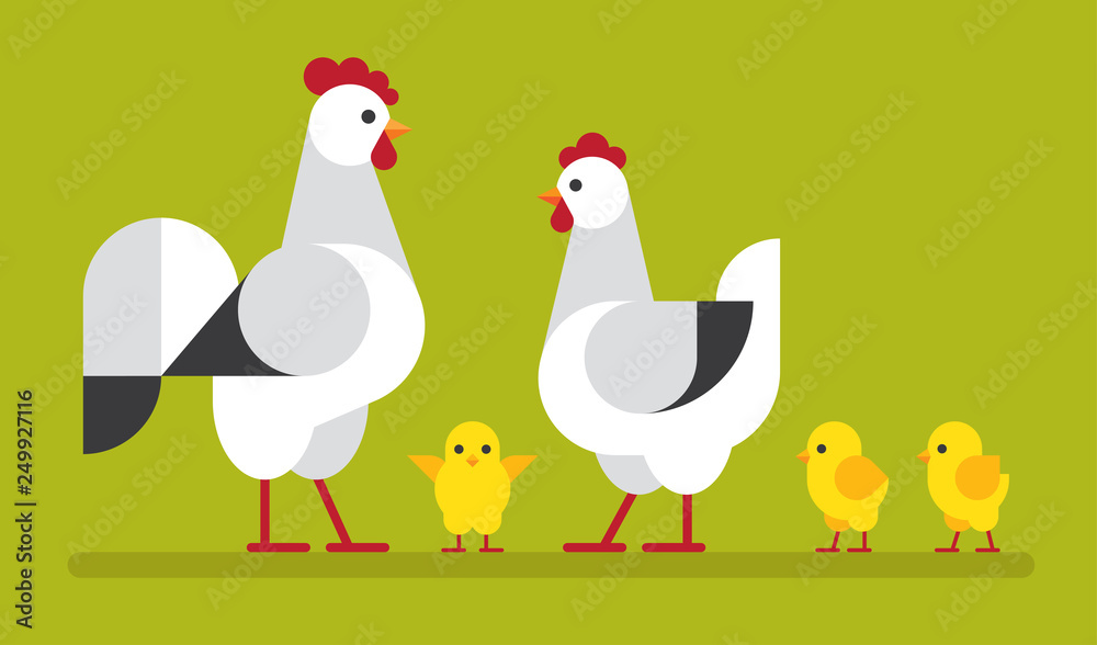 Chicken family flat illustration.