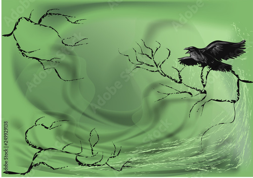 crow on a dry tree