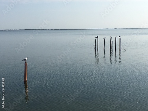 Lago di lesina  photo