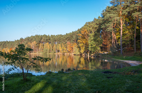 Fototapeta Naklejka Na Ścianę i Meble -   Autumn lake at the shining sun