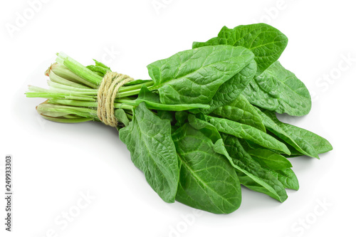 fresh spinach bundle isolated on white background photo
