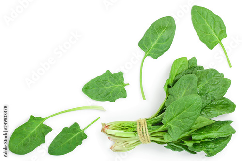 fresh spinach isolated on white background with copy space for your text. Top view. Flat lay