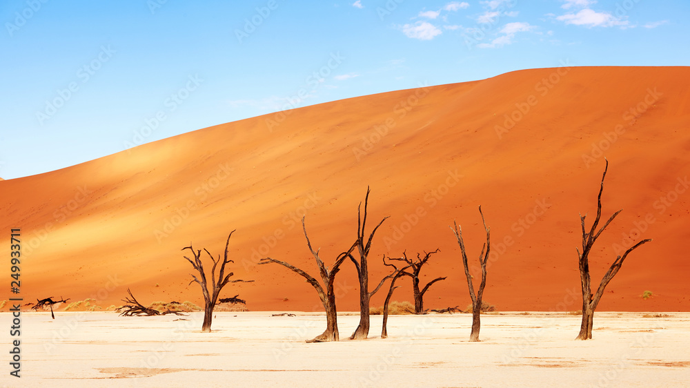 Namibian desert landscape