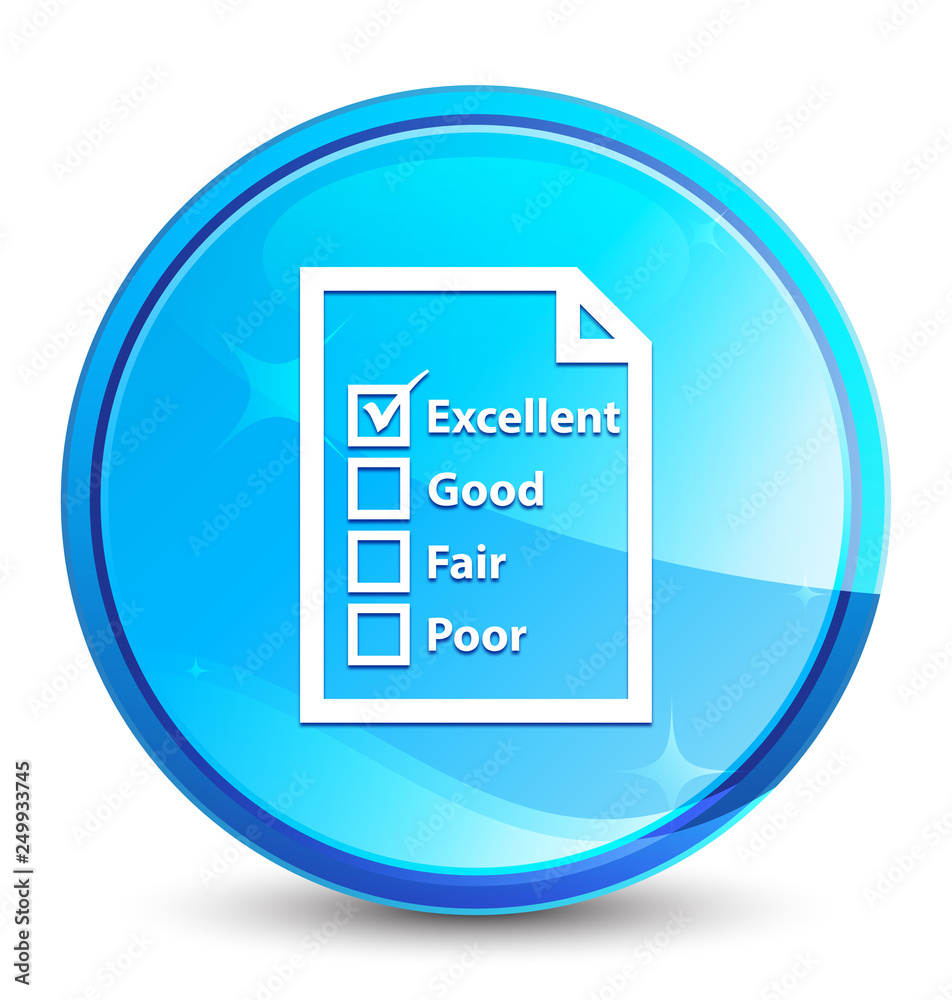 Questionnaire icon splash natural blue round button Questionnaire icon splash natural blue round button