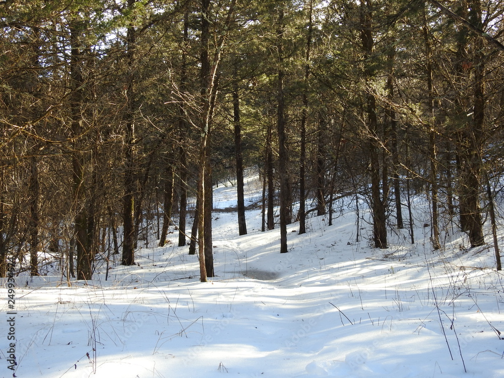 Deer Trail Deer Trail
