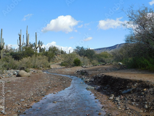 Desert stream