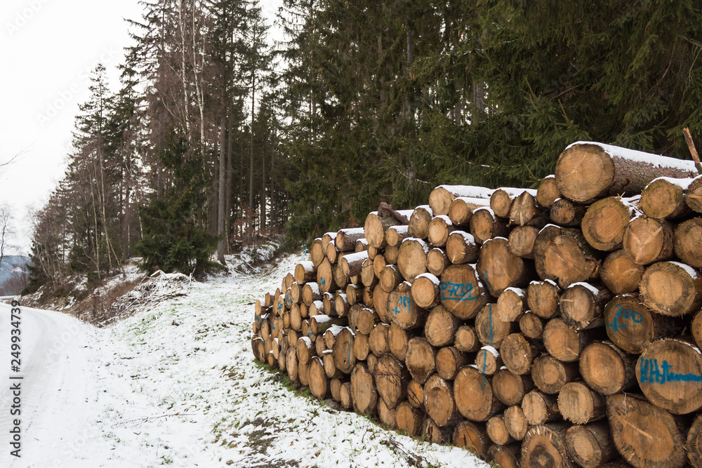 cut logs lumber winter snow covered