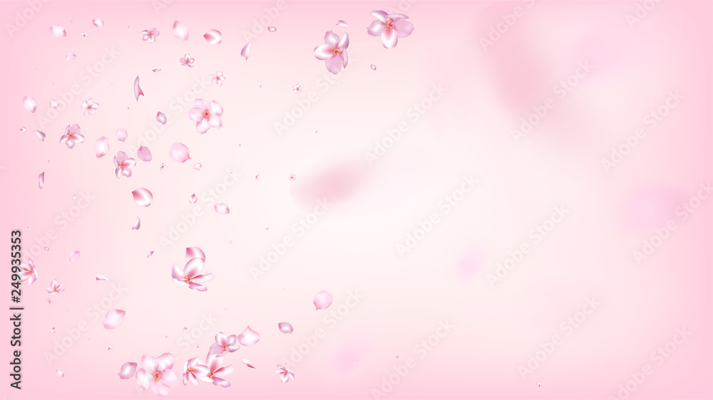 Nice Sakura Blossom Isolated Vector. Watercolor Showering 3d Petals Wedding Pattern. Japanese Blooming Flowers Illustration. Valentine, Mother's Day Feminine Nice Sakura Blossom Isolated on Rose