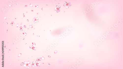 Nice Sakura Blossom Isolated Vector. Watercolor Showering 3d Petals Wedding Pattern. Japanese Blooming Flowers Illustration. Valentine, Mother's Day Feminine Nice Sakura Blossom Isolated on Rose