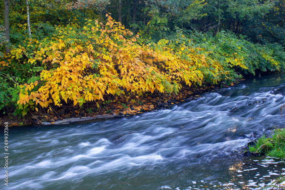Mountain river in the forest Mountain river in the forest