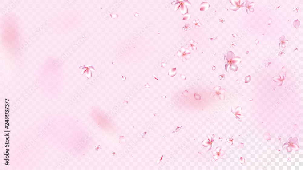 Nice Sakura Blossom Isolated Vector. Summer Blowing 3d Petals Wedding Texture. Japanese Blooming Flowers Wallpaper. Valentine, Mother's Day Realistic Nice Sakura Blossom Isolated on Rose