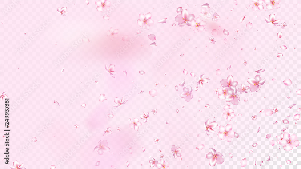 Nice Sakura Blossom Isolated Vector. Magic Flying 3d Petals Wedding Border. Japanese Style Flowers Wallpaper. Valentine, Mother's Day Magic Nice Sakura Blossom Isolated on Rose