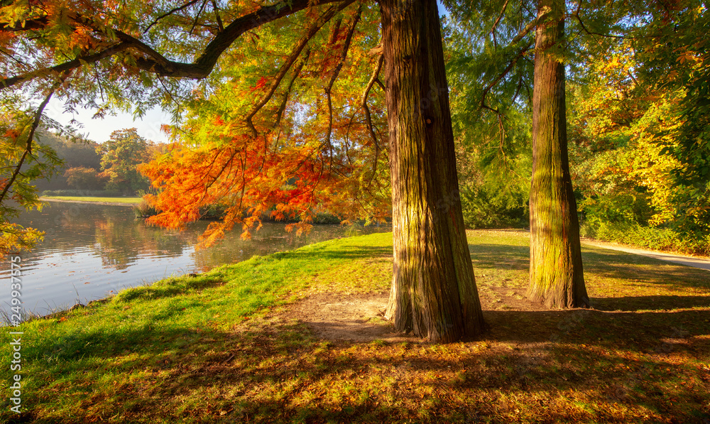 Autumn in the park Autumn in the park