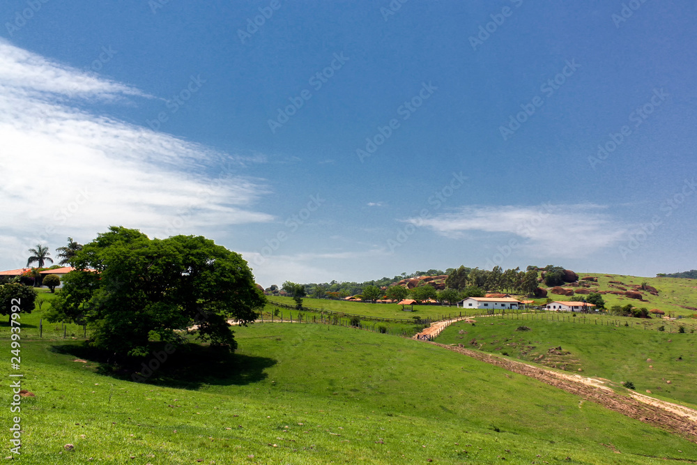 Obraz premium Paisagem IMG_9766