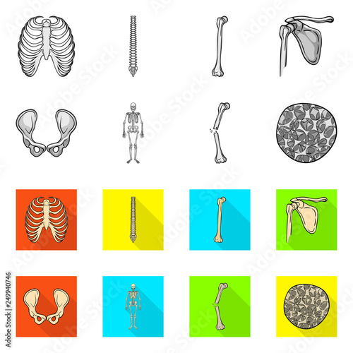 Vector illustration of medicine and clinic sign. Set of medicine and medical stock vector illustration.