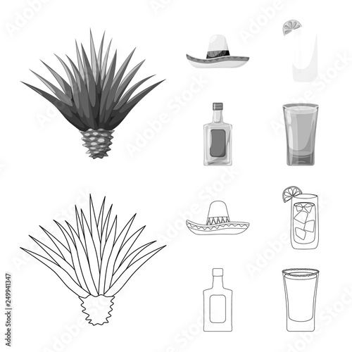 Isolated object of cafe and Latin sign. Set of cafe and national stock vector illustration.