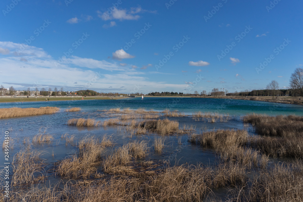 Im Schilf - Winterlandschaft am See Im Schilf - Winterlandschaft am See