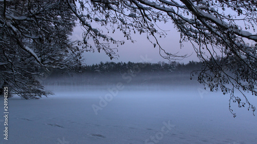 Scenery of a snowy frozen lake in Berlin Köpenick, Germany, with alders on its bank in hazy foggy evening mood photo