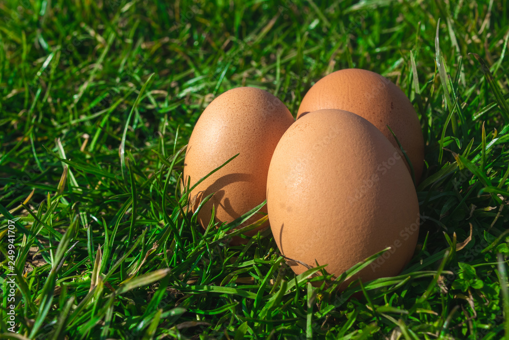 Three Easter Eggs Lie in grass Three Easter Eggs Lie in grass