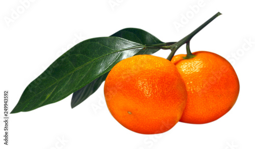 Ripe and tasty tangerines isolated on white background. Fresh with leaves, closeup