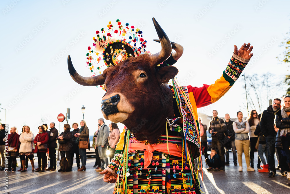 Φωτογραφία Valencia, Spain - February 16, 2019: Man disguised as a shaman with a ceremonial bull wearing the traditional Bolivian party outfit during a carnival parade