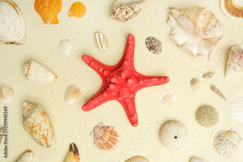 Top view of sandy background with red starfish and seashells.
