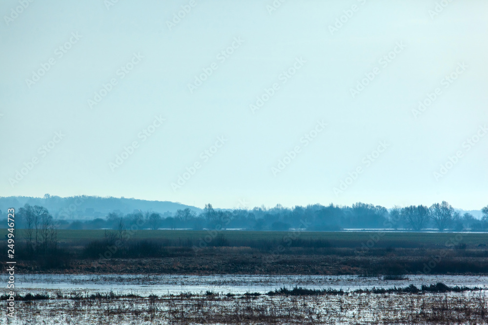 picturesque mystical landscape of marshy fields in blue colors with the silhouette of the forest