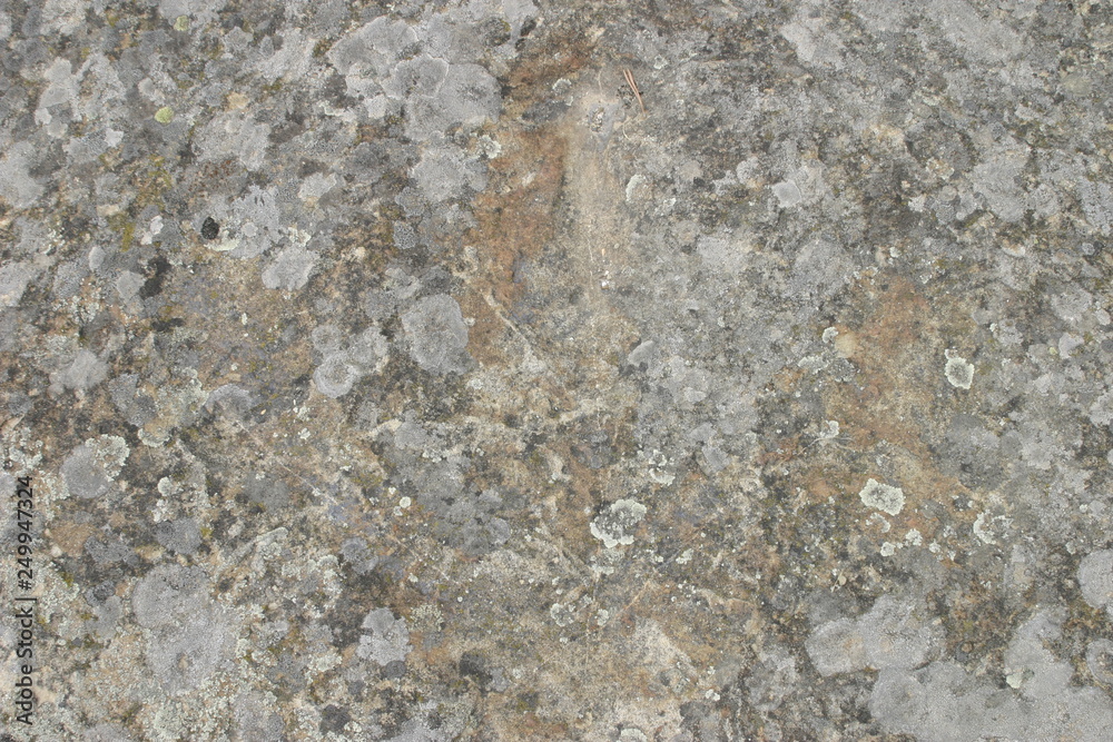 Dinosaur footprints in Revenga. Village of Burgos. Castilla y Leon. Spain Dinosaur footprints in Revenga. Village of Burgos. Castilla y Leon. Spain