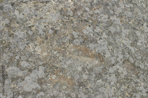 Dinosaur footprints in Revenga. Village of Burgos.  Castilla y Leon. Spain