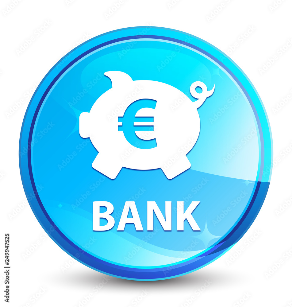 Bank (piggy box euro sign) splash natural blue round button
