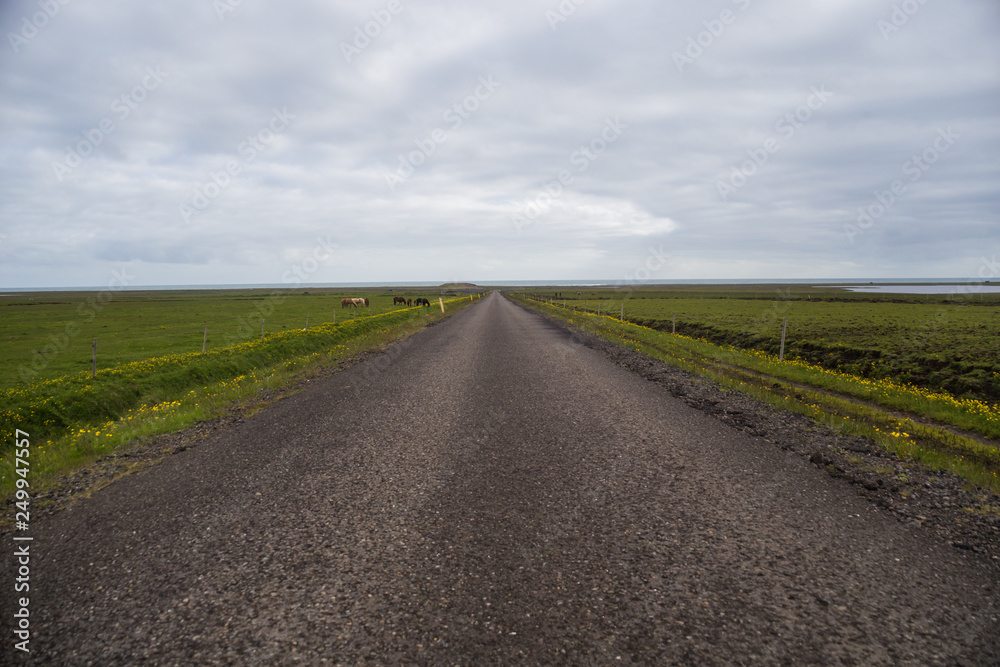 Image of country road in Iceland.
