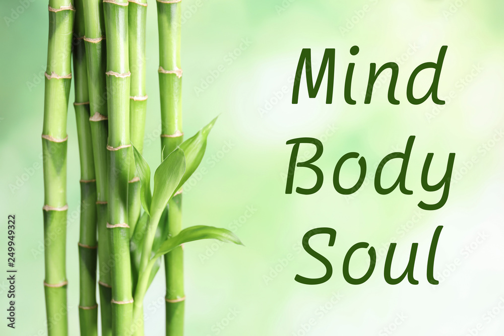 Fototapeta premium Green bamboo stems on blurred background with space for text