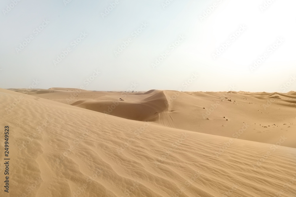 Picturesque landscape of sandy desert on hot day Picturesque landscape of sandy desert on hot day