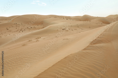 Picturesque landscape of sandy desert on hot day