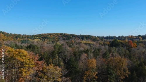 Wallpaper Mural Aerial flying above the stunning colorful trees at fall on sunny day. Beautiful autumn trees in brown and yellow colour. Fall foliage in autumn forest. Torontodigital.ca