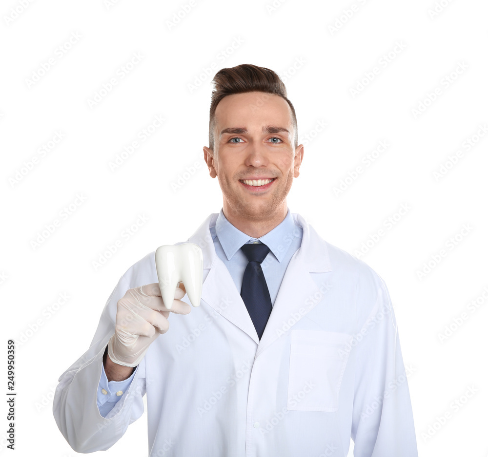 Male dentist holding tooth model on white background Male dentist holding tooth model on white background