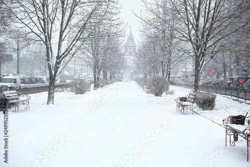 Winter city park on snow storm day