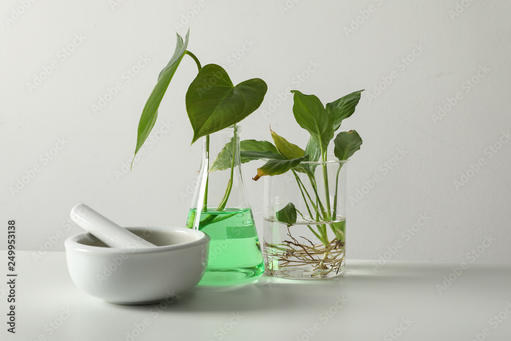 Ceramic mortar and laboratory glassware with plants on white background. Chemistry concept Ceramic mortar and laboratory glassware with plants on white background. Chemistry concept