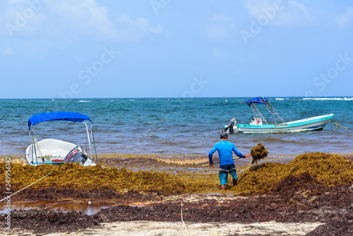 Sargazo en Riviera Maya