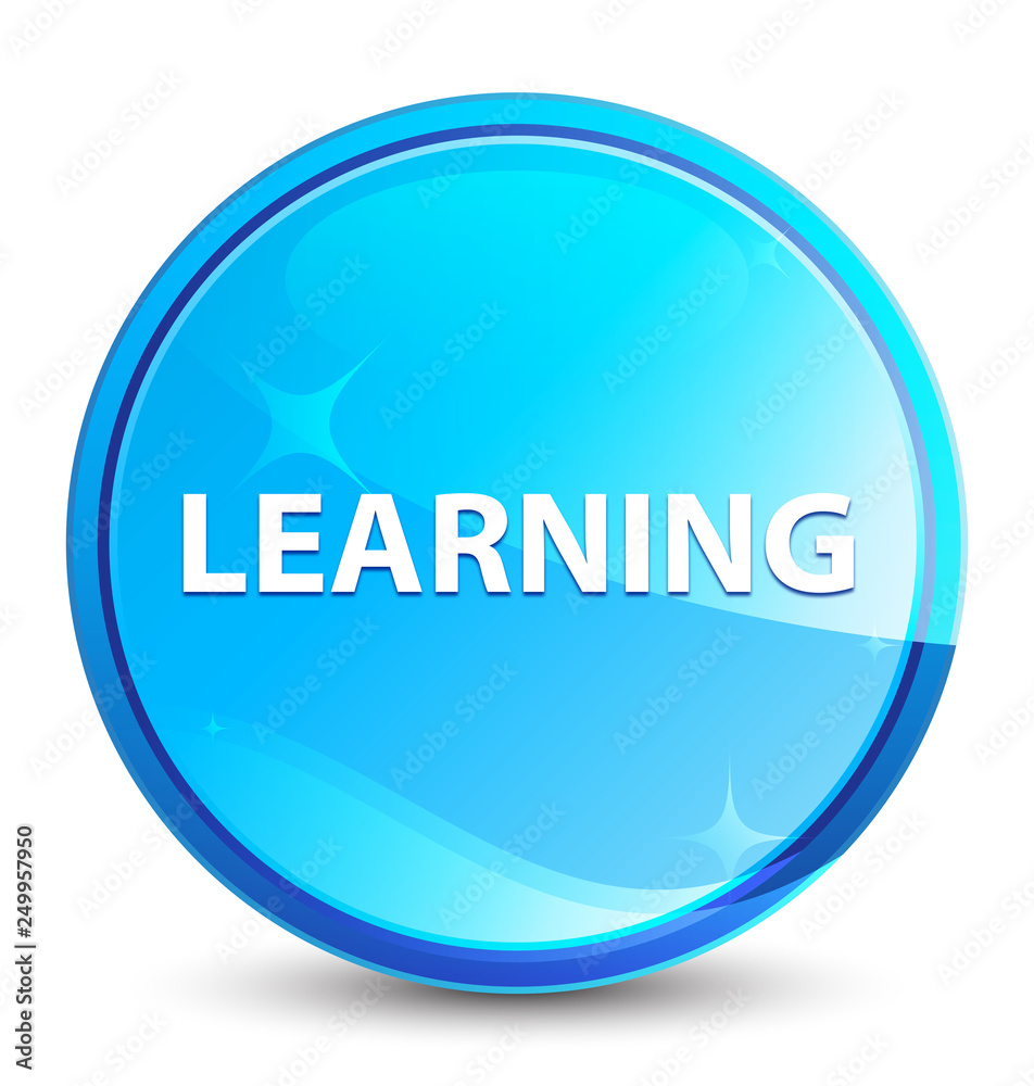 Learning splash natural blue round button Learning splash natural blue round button