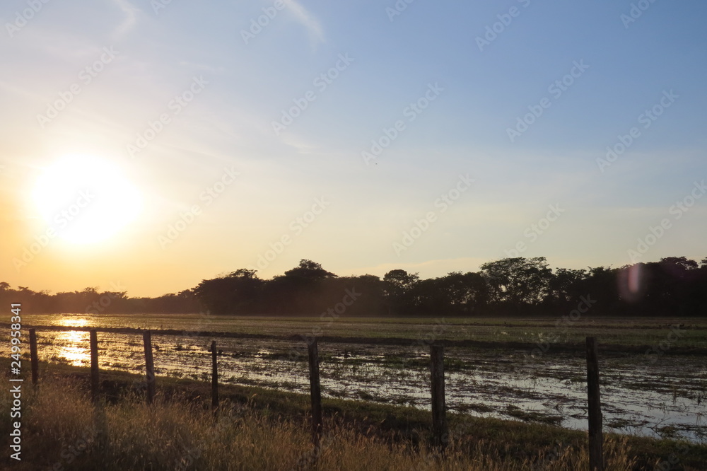 Atardecer