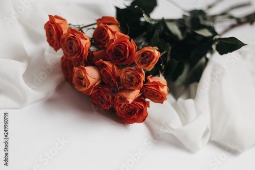Coral Rose Styled Stock Photo
