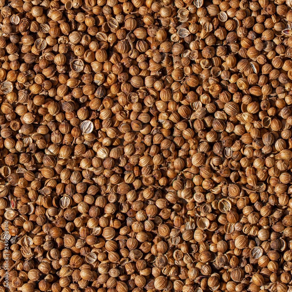 Tileable Coriander Seed Texture Tileable Coriander Seed Texture