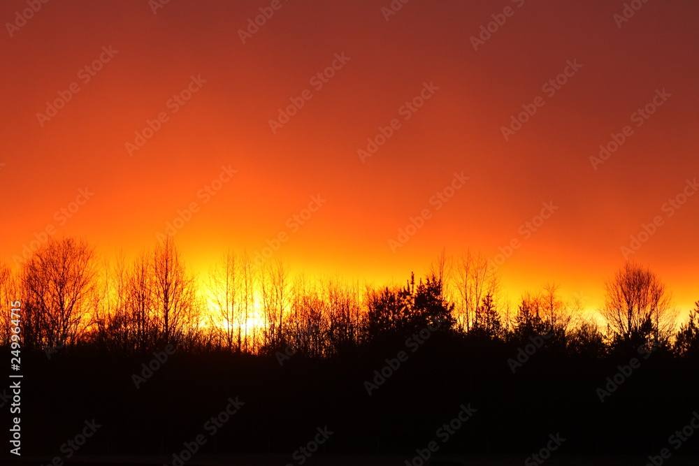Winter sunset Winter sunset